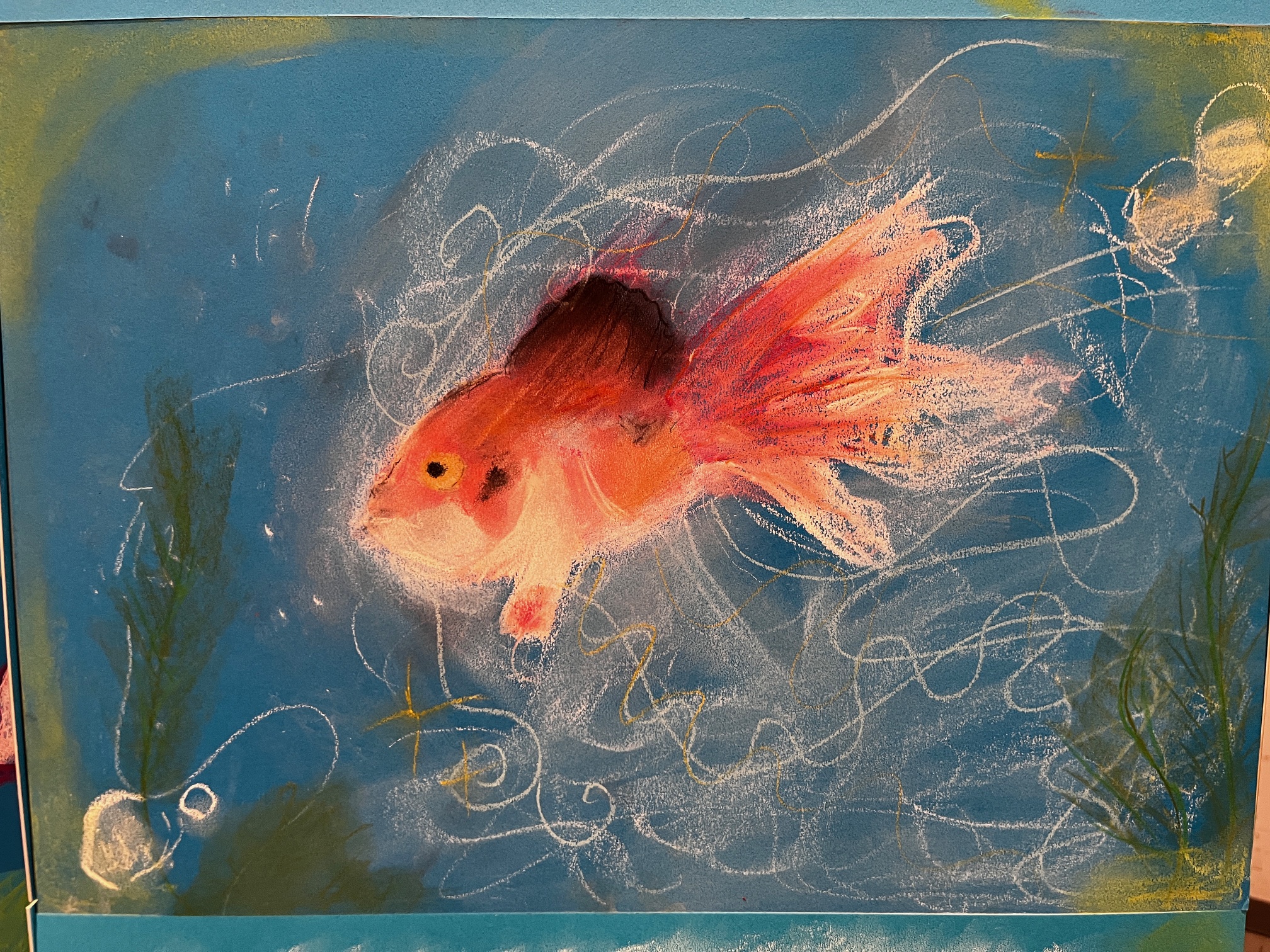 小学生造形・よく見て描こう〜金魚〜パステル画・絵画教室 ｜ 埼玉で